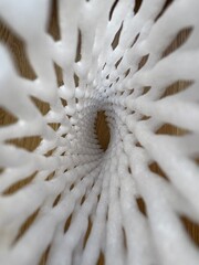 Closeup of an elongated white foam net