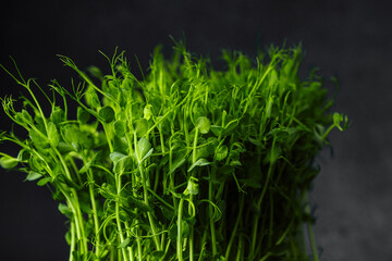 Pea shoots in black plastic tray on dark background