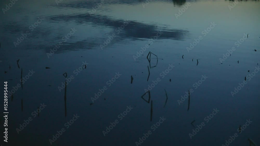 Poster Close-up view of a quiet lake surface at twilight, showing minimal ripples and submerged grass stems reflecting geometric shapes under the soft fading sky.