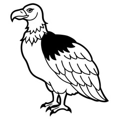 eagle vector illustration