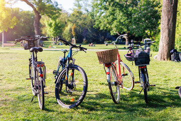 Four bicycles stand on green grass in a sunny park, each equipped with a basket or bag. Bright light and scattered shadows suggest a relaxed afternoon gathering or casual group outing