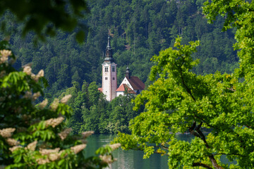 Bled Island with church in calm lake and scenic alpine background.