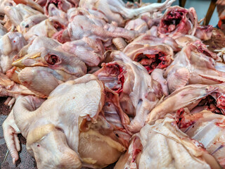 Fresh Raw Chicken Meat Pile