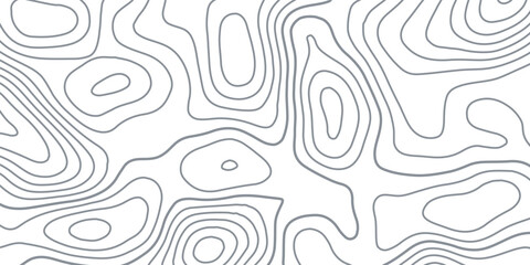 White wave paper curved reliefs abstract background, Abstract topographic contours map background, Topography map background. Vector geographic contour map.