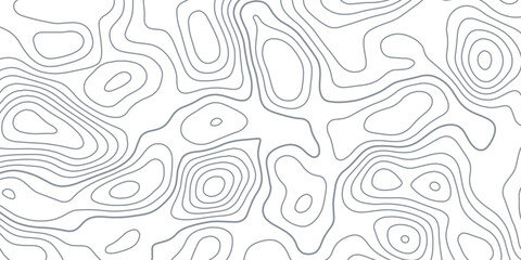 White wave paper curved reliefs abstract background, Abstract topographic contours map background, Topography map background. Vector geographic contour map.