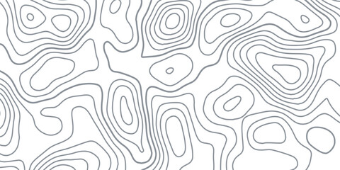 White wave paper curved reliefs abstract background, Abstract topographic contours map background, Topography map background. Vector geographic contour map.