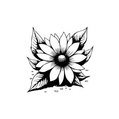 Monochrome Sunflower Illustration with Detailed Petals and Leaves Design Art