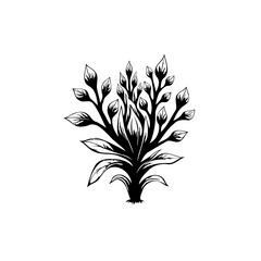 Elegant botanical illustration featuring stylized foliage on white background graphic
