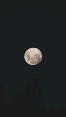 full moon in the night