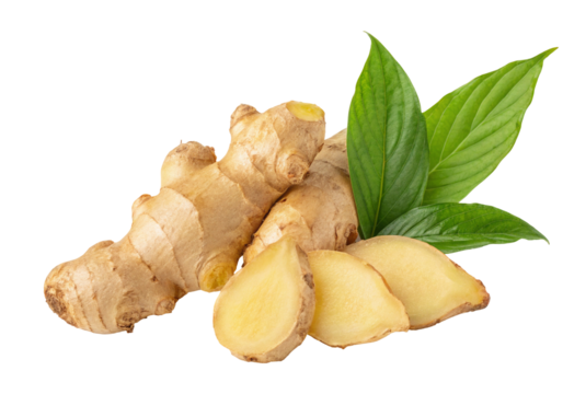 Fresh ginger root with green leaves on black background for healthy food and natural remedy use 100 characters