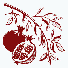 blood orange vector illustration