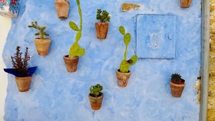 Cactus in a pot on blue facade of elevation on building. House with blue wall with flowers and decoration. Outdoor architecture in Greece. 