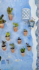 Cactus in a pot on blue facade of elevation on building. House with blue wall with flowers and decoration. Outdoor architecture in Greece. Vertical.