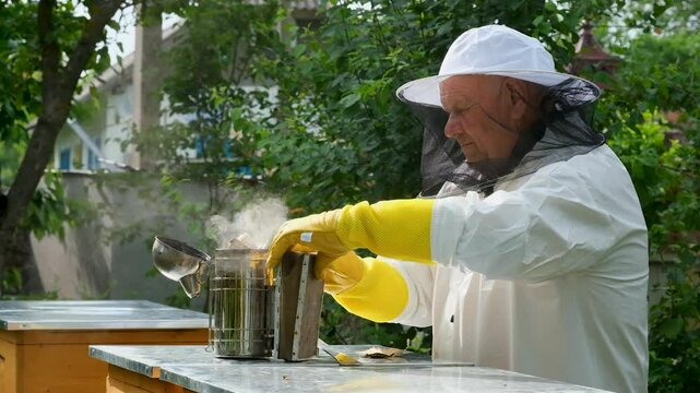 A beekeeper works with the bees and the hives in the apiary. a man in a protective suit at the apiary.
