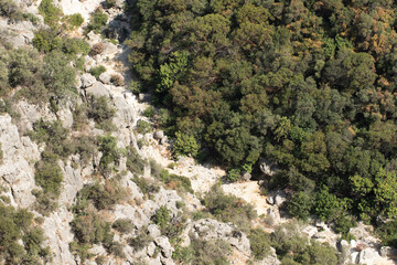 Şeytandere, a beeutiful trekking valley behind Kızkalesi holds strawberry trees, wild olives, oleander, terebinth, and hundreds of maquis plant species