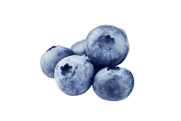 blueberries isolated on transparent background.