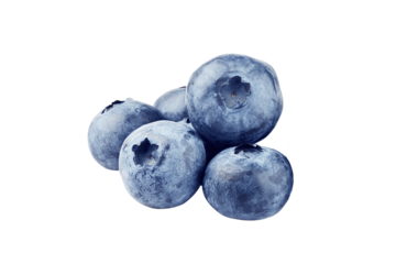 blueberries isolated on transparent background.