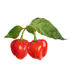 two red habanero peppers with leaves on transparent background