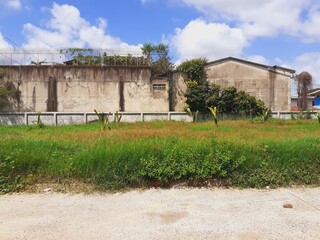 Roadside environment in rural Thailand