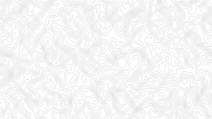 Fototapeta premium topography white background and black line wireframe isoline location diagram world map texture design. 