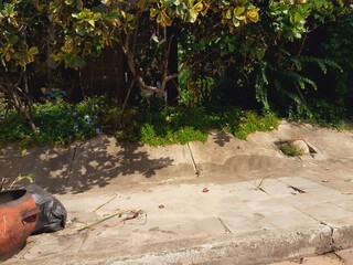 Roadside environment in rural Thailand