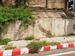 Roadside environment in rural Thailand