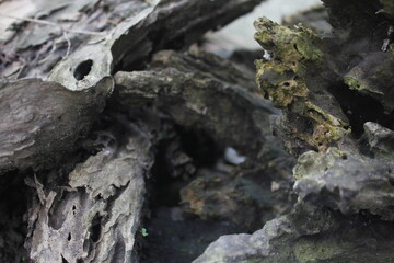 photo of weathered wood texture