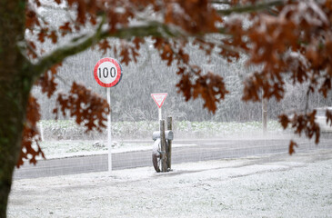 Orange leaf tree framing 100kmh road sign in the heavy snowfall. Ashburton Lakes. South Island.