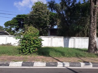 Leaking the wall separating the area next to the footpath