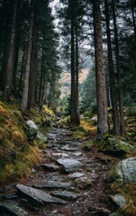 Obraz premium Misty forest path scene. Stone trail leads through lush green woods. Ideal for travel, nature, and adventure projects. Perfect for websites, banners, and print media.