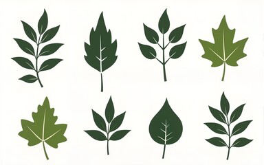 Leaf silhouettes vector set with diverse shapes and nature elements for eco friendly designs and botanical themes. High quality