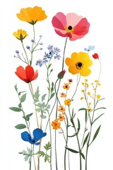 Flowers wildflower blossoms art.