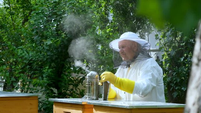 A beekeeper works with the bees and the hives in the apiary. a man in a protective suit at the apiary.