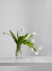 white tulips in glass vase in white interior
