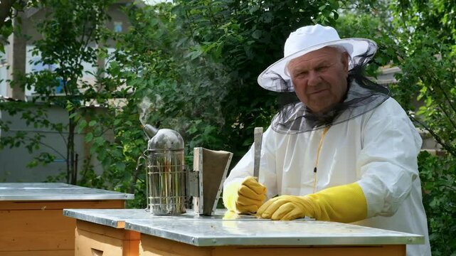 A beekeeper works with the bees and the hives in the apiary. a man in a protective suit at the apiary.