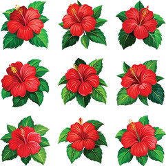 Red hibiscus flowers with green leaves