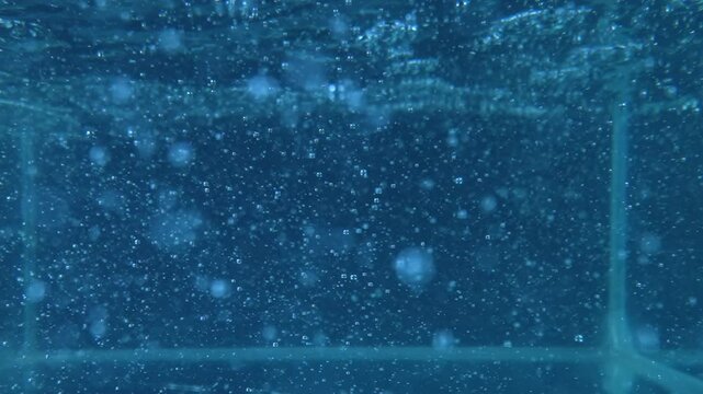 Bubbles Formation in Clear Water Under Bright Light