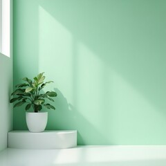 green plant in the interior