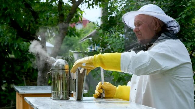 A beekeeper works with the bees and the hives in the apiary. a man in a protective suit at the apiary.