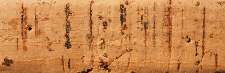 Close up of the texture of cork using as background or header