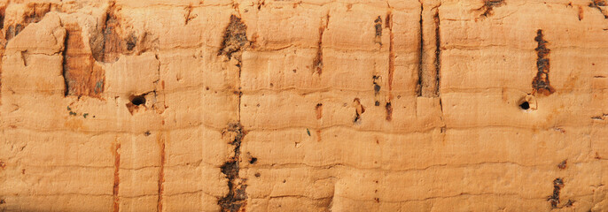 Close up of the texture of cork using as background or header