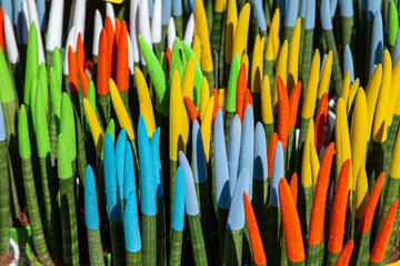 Spring blooms explosion of colors in gardens and meadows