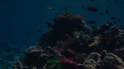 Vibrant coral reef ecosystem underwater scene