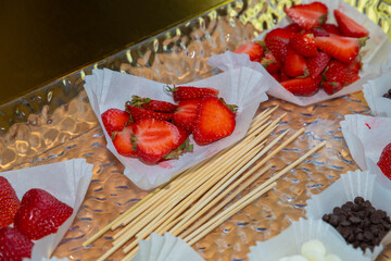 Fruits prepared for chocolate formation. Strawberries and kiwi sliced, chocolate pieces white and milk. Top view.