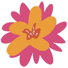 Decorative botanical pink flower 