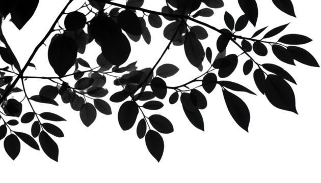 Black and white seamless floral pattern with tree branches and leaves creates a decorative nature illustration