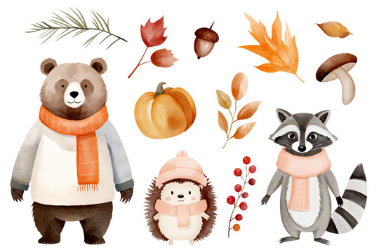 Watercolor animals in warm clothes. Bear, raccoon, hedgehog with pumpkin, acorn and fall forest elements