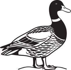 Striking Black and White Duck Illustration Minimalist Mallard Design for Wildlife Art Nature Projects and Farm Animal Graphics