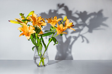 Orange lilies flower bouquet in a glass vase casting a shadow against a gray wall, copy space, selected focus