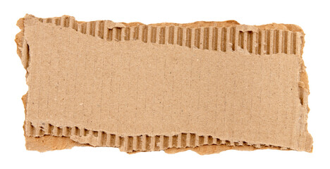 Piece of torn cardboard on a white background. Torn cardboard isolate